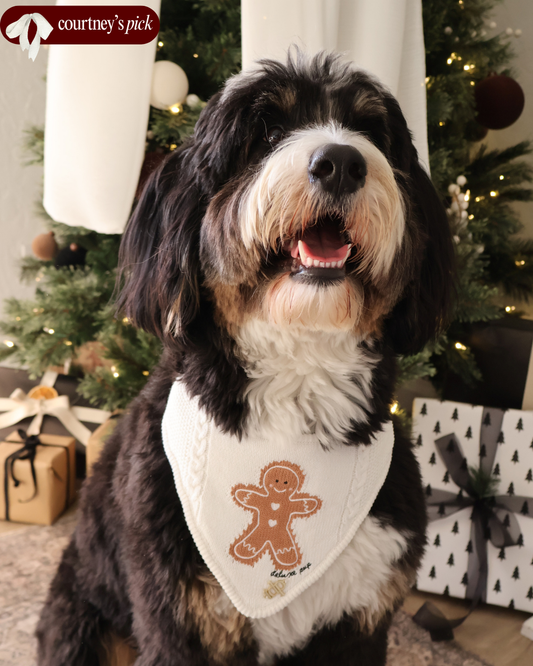 Christmas Dog Bandana - Gma's Gingerbread: Small