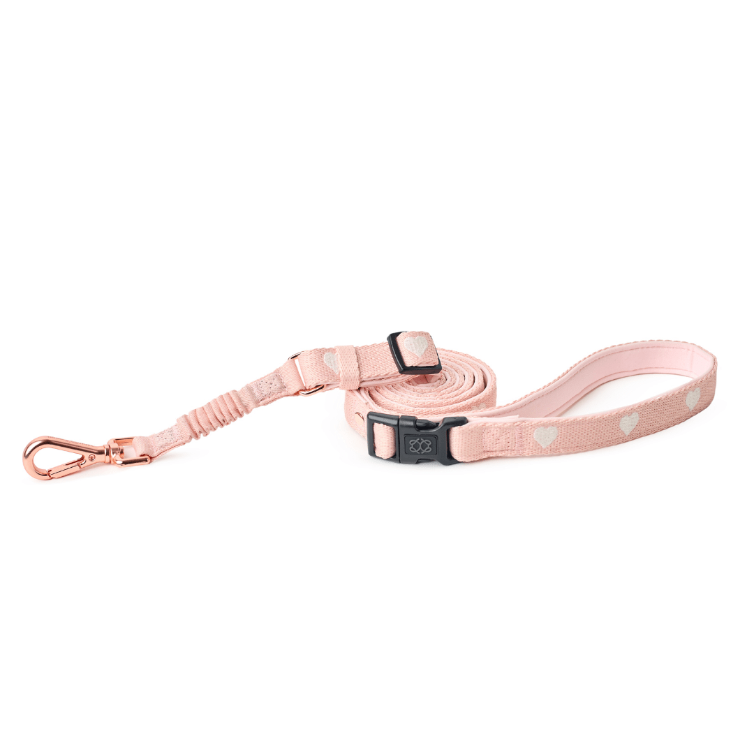 3-in-1 City Dog Leash - Hearts