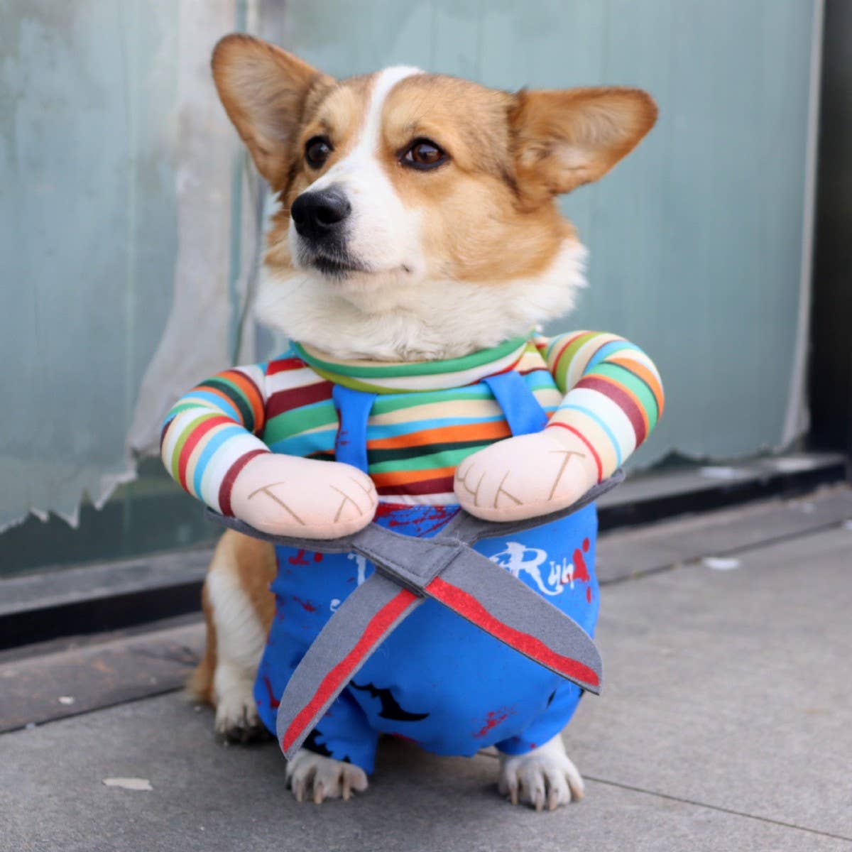 Chucky Standing Dog Costume