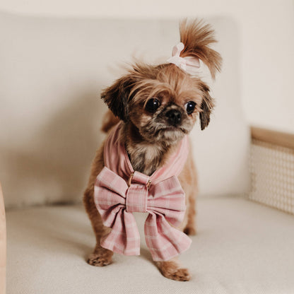 Rose Blossom Reversible Dog Harness