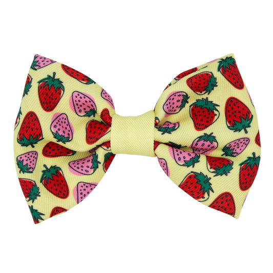 Dog Bowtie - Strawberry Fields Furever