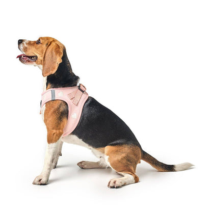 SoHo Dog Harness - Hearts