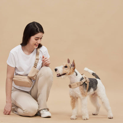Rover Dog Harness