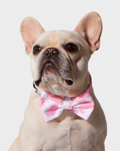 Pink Moo'd Bowtie