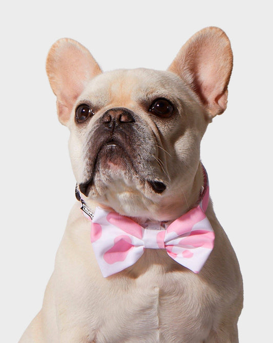Pink Moo'd Bowtie