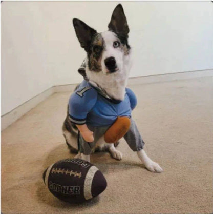 Disfraz de perro de Halloween de QuarterBark