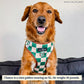 The You're a Square No-Pull Dog Harness