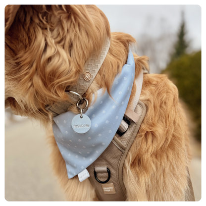 The Honey June Reversible Dog Bandana