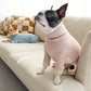 High-neck Blush Dog Onesie