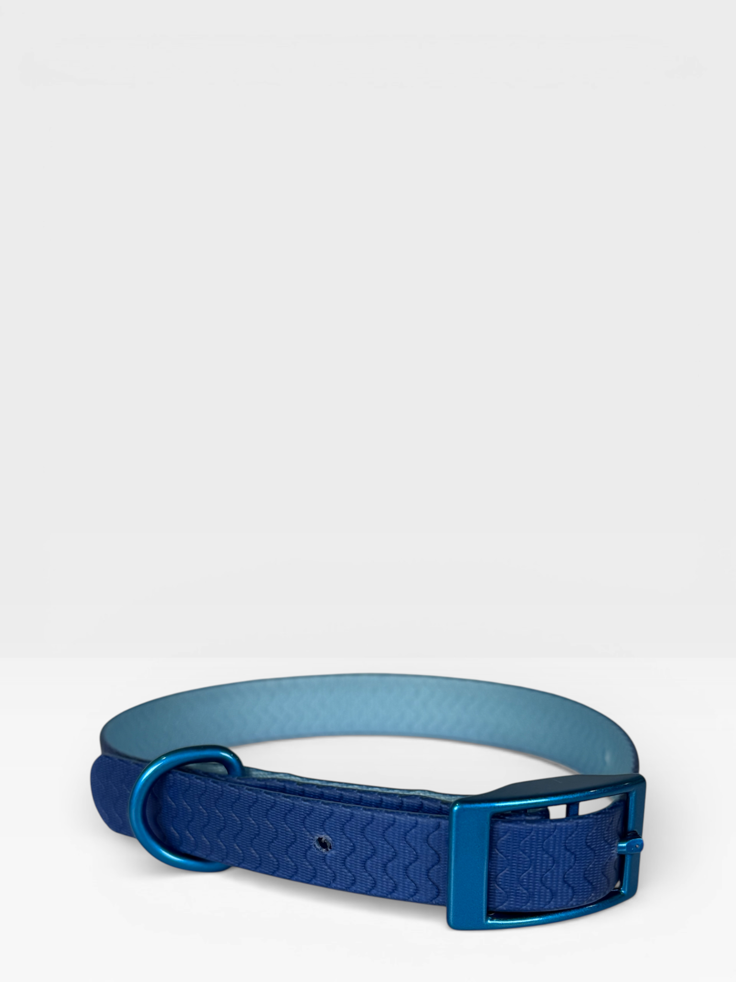 Blue Jelly Waterproof Collar For Small Dogs