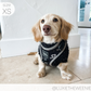 I Heart Dachshunds Adjustable Dog Harness