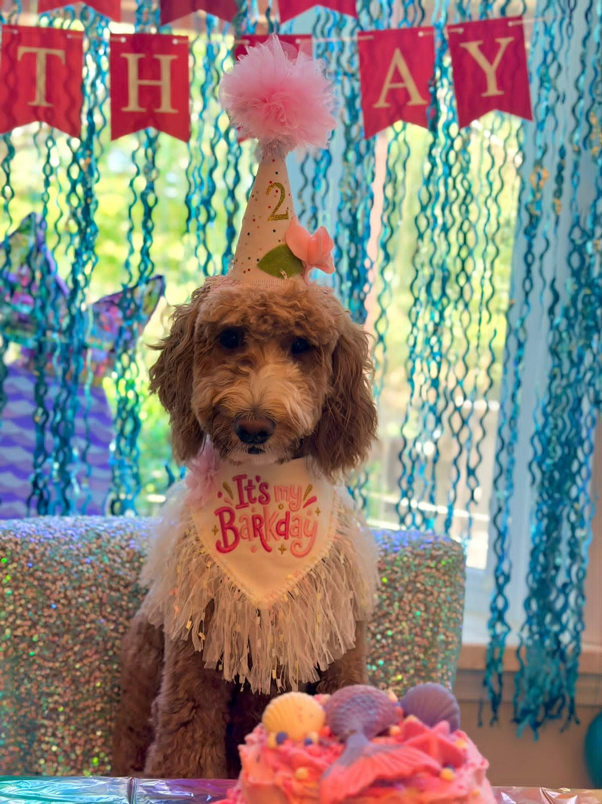 Its My BarkDay pink with confetti trim bandana