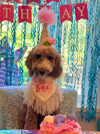 Its My BarkDay pink with confetti trim bandana