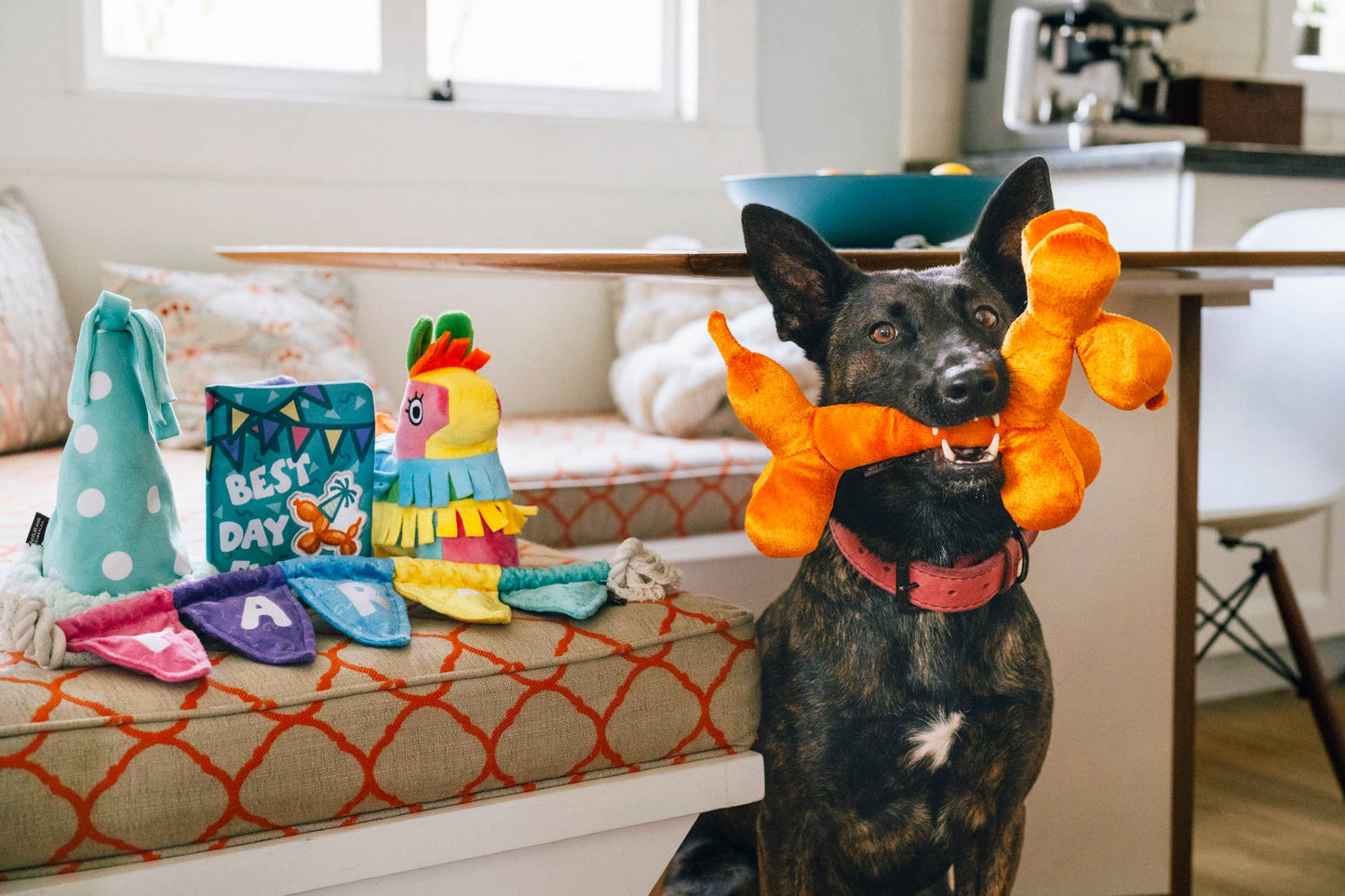 Party Animal Collection - Assorted Toys