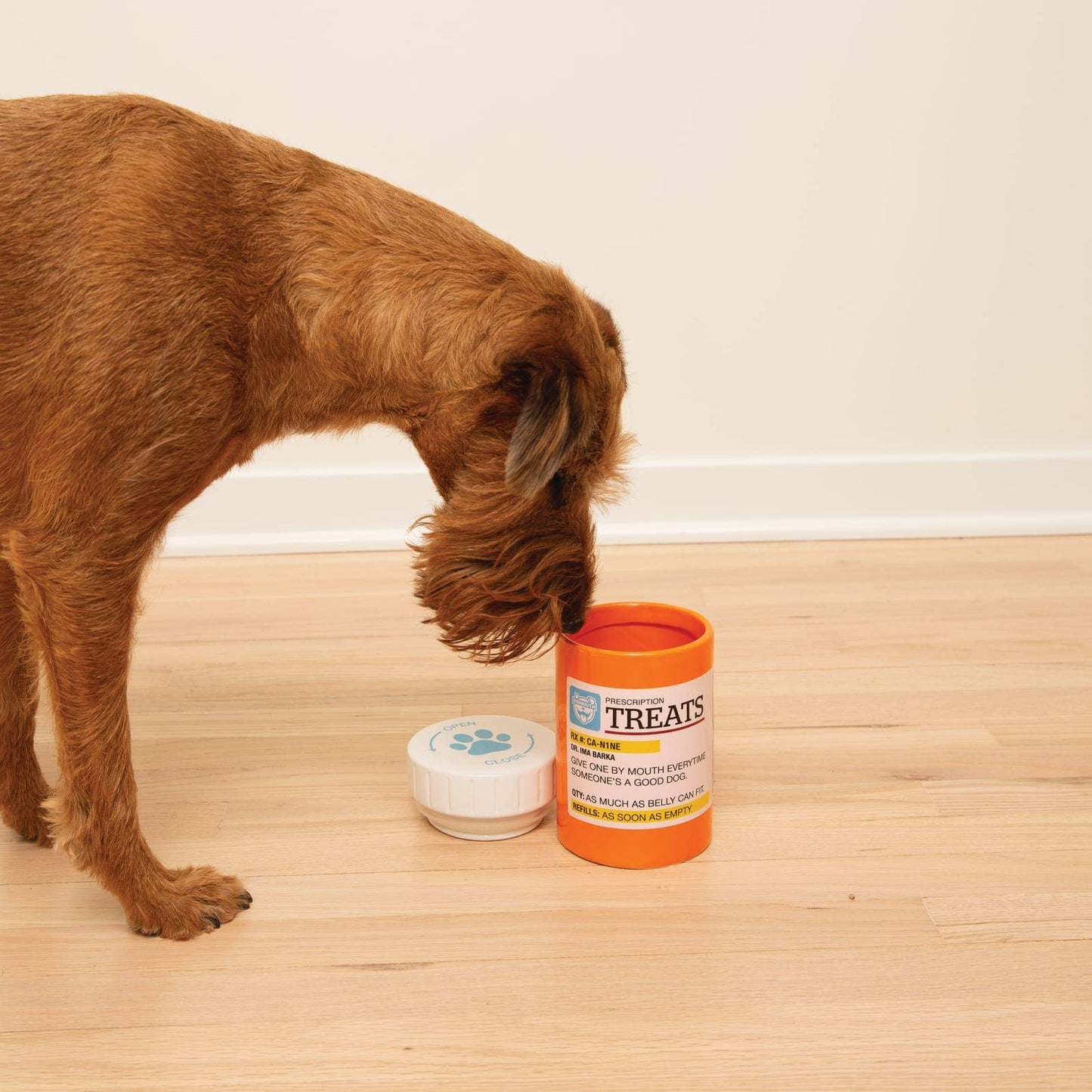 Prescription Treat Jar
