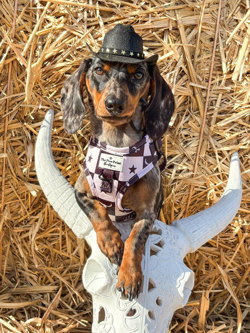 Wild West Adjustable Dog Harness
