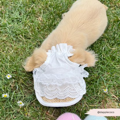 Straw & Lace Sun Hat for Dogs