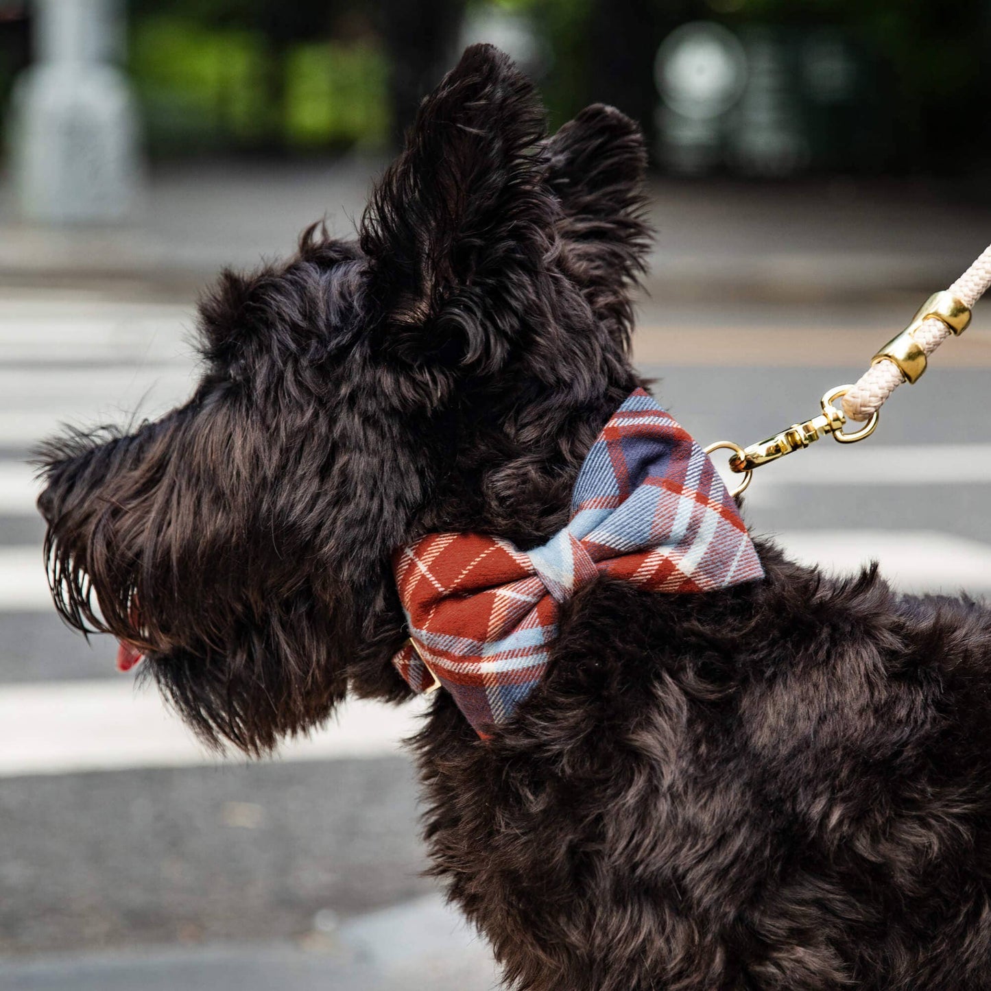 Maple Plaid Flannel Dog Bow Tie