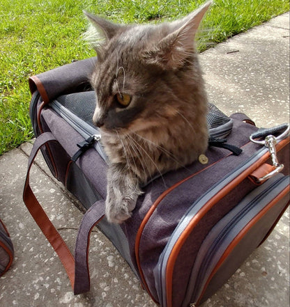 Transportín para mascotas apto para aerolíneas de la serie Gold de Mr. Peanut - Gris platino