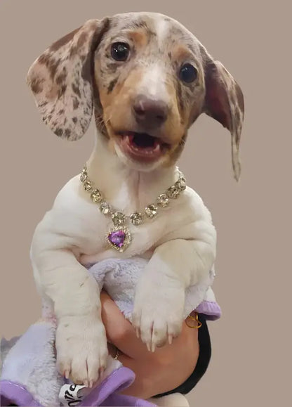 Crystal Heart Pet Necklace With Magnetic Breakaway - Lilac