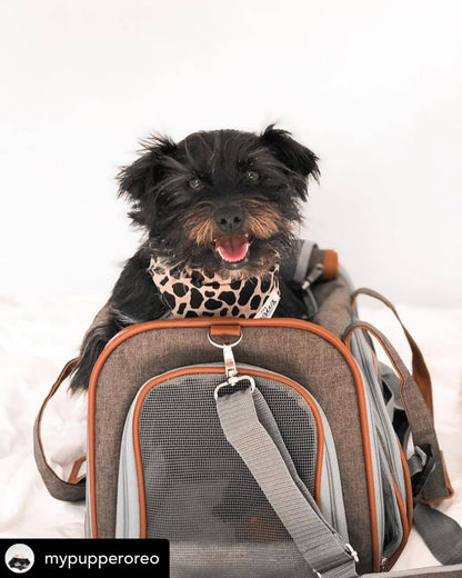 Transportín para mascotas apto para aerolíneas de la serie Gold de Mr. Peanut - Gris platino