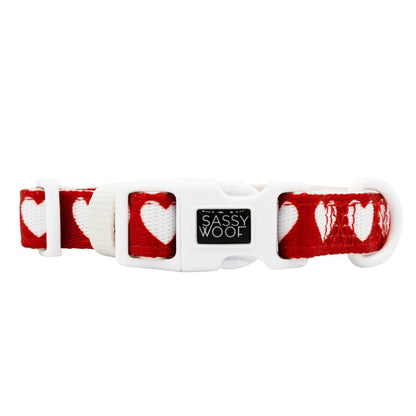 Little Love Dog Collar