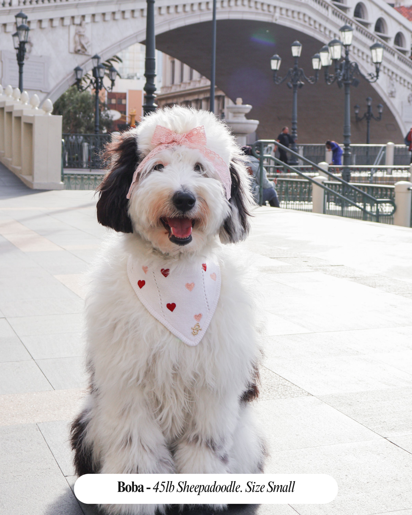 Bandana para perro Cherie de San Valentín