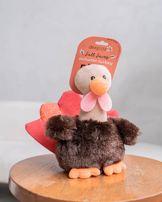 Fall Turkey Dog Toy