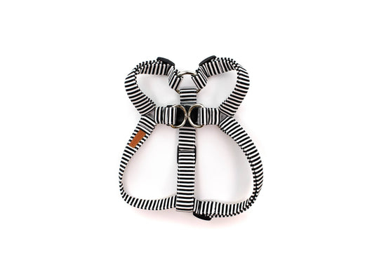 Licorice Stripe Dog Harness
