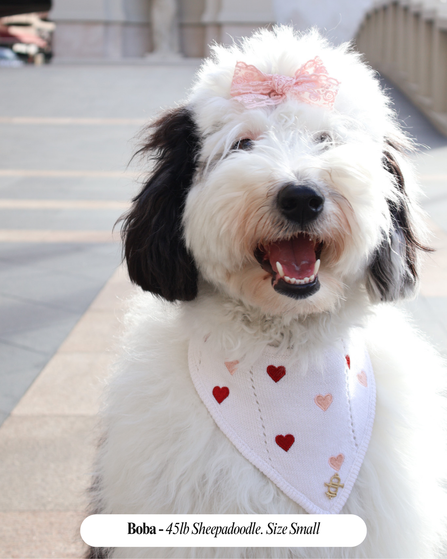 Bandana para perro Cherie de San Valentín