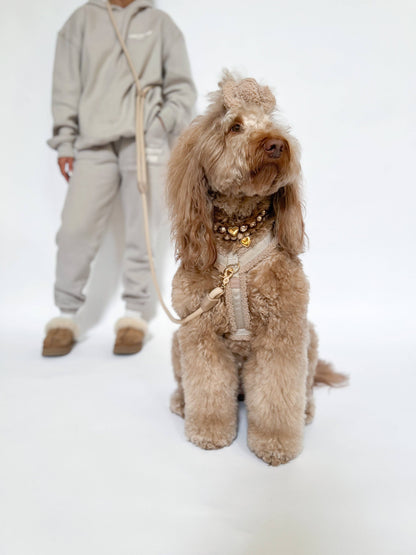 Comfort Hands Free Leash - Toffee