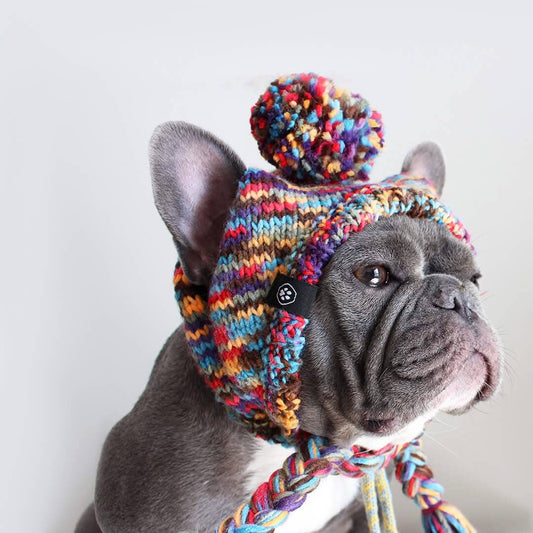 Knit Pom Pom Dog Beanie Hat - Kaleidoscope