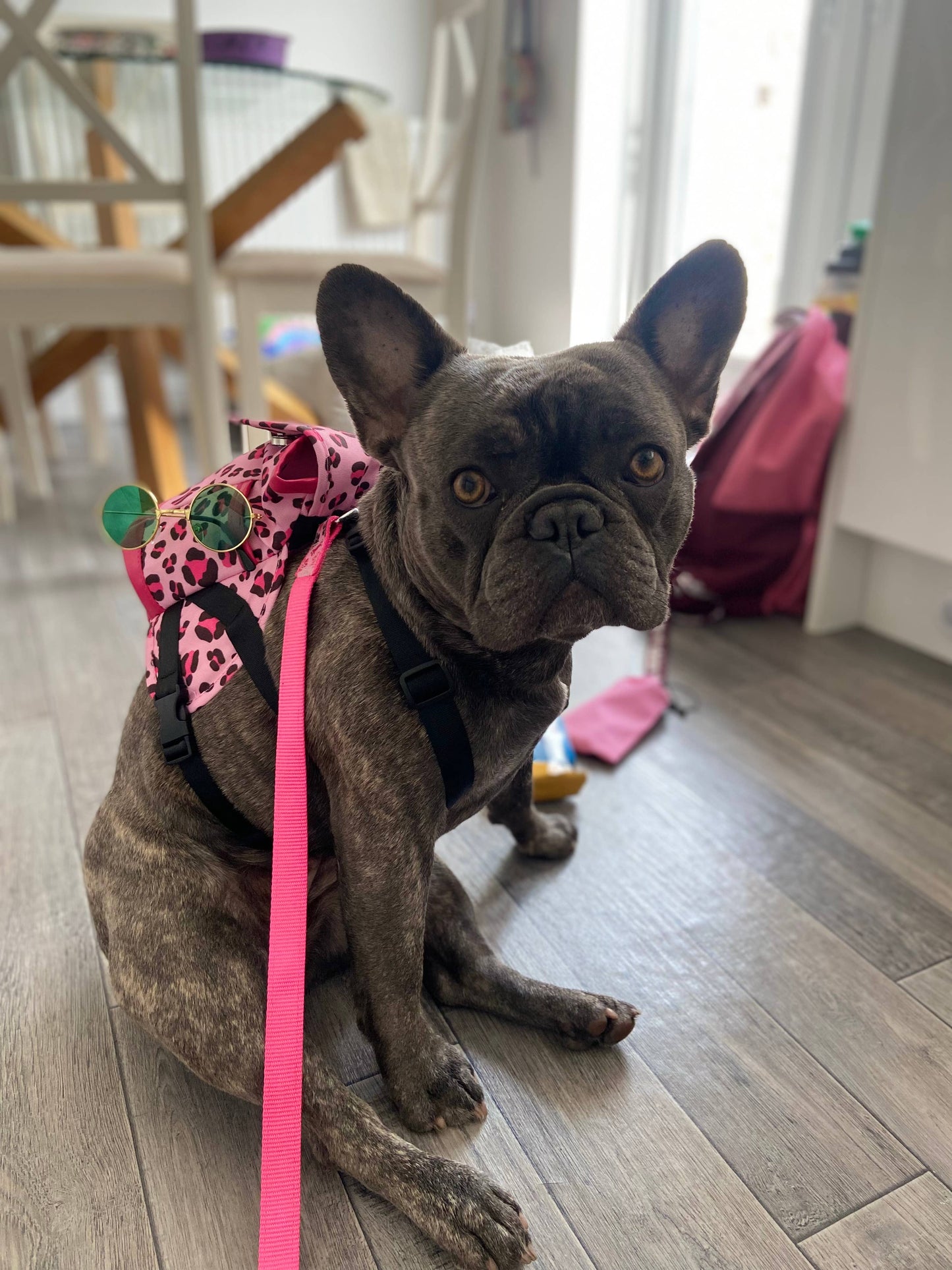 Pink Leopard Print Dog backpack - Assorted Sizes