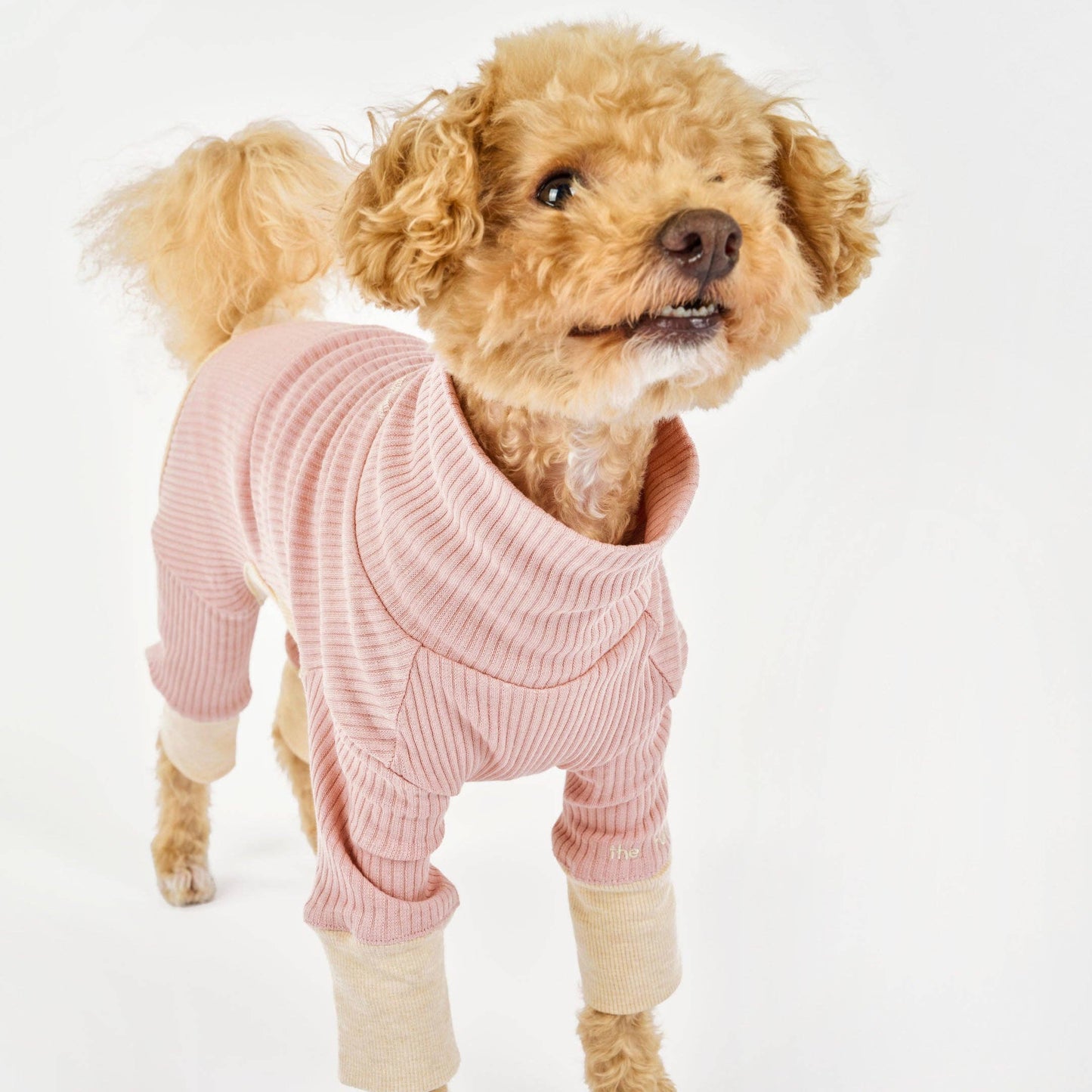 High-neck Blush Dog Onesie