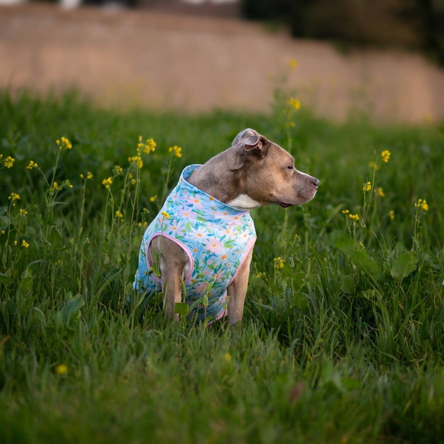 Springtime Snuggle Blooms Muscle Tee