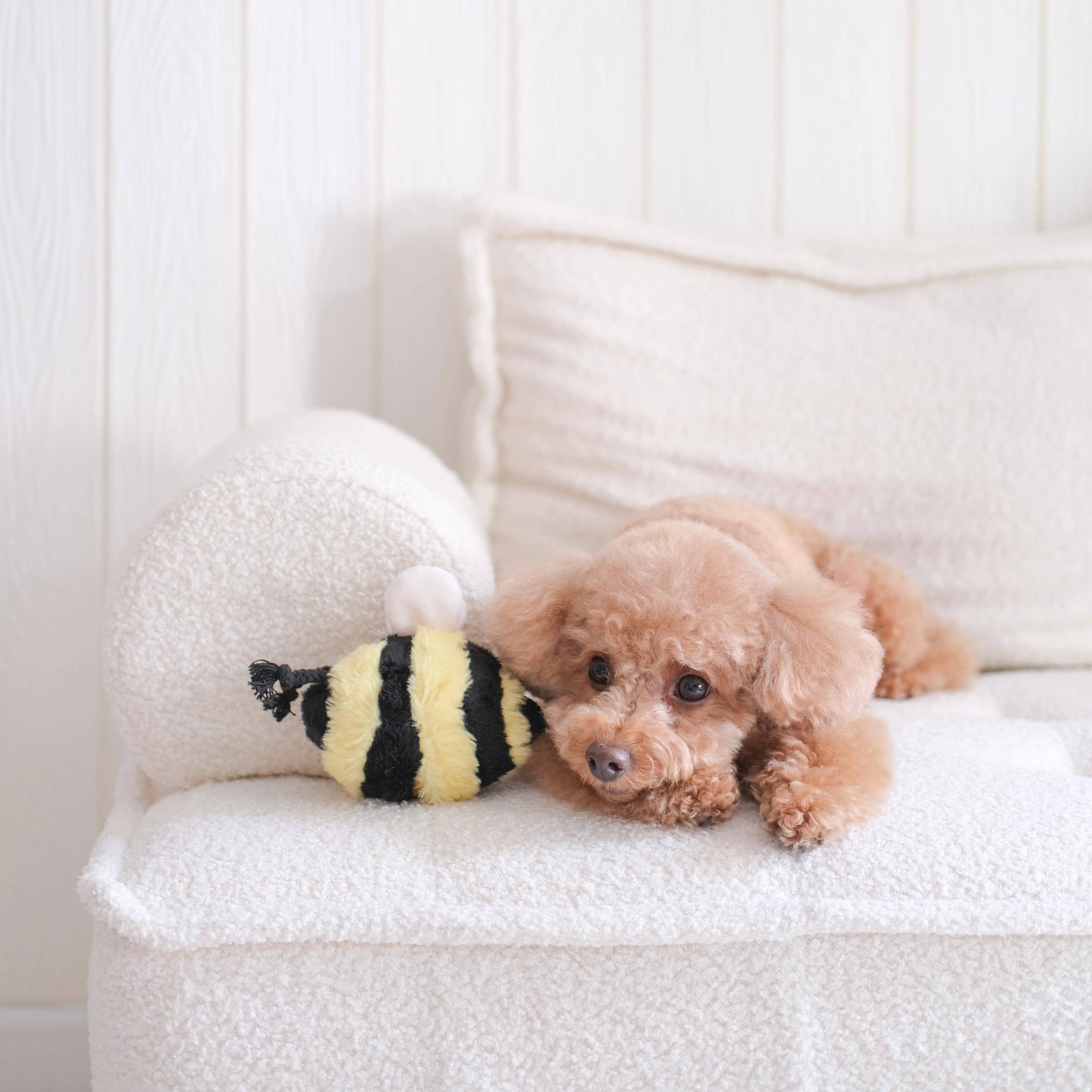 Juguete para perros Bee Pop Snuffle