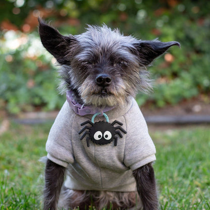 Spooky the Spider Jiby Dog Charm