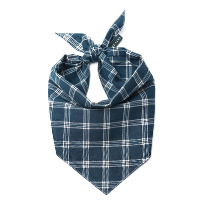 3 Pack of Sporting Dog Bandanas - Gift Box