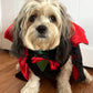 Count Woofula Halloween Dog Costume