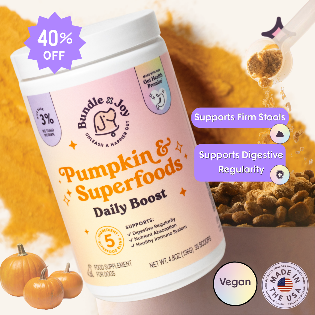 Pumpkin & Superfoods Daily Boost Powder | Digestive Support