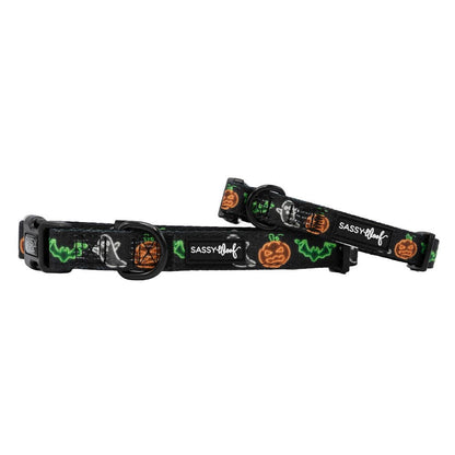 Collar para perros - Neon Frights
