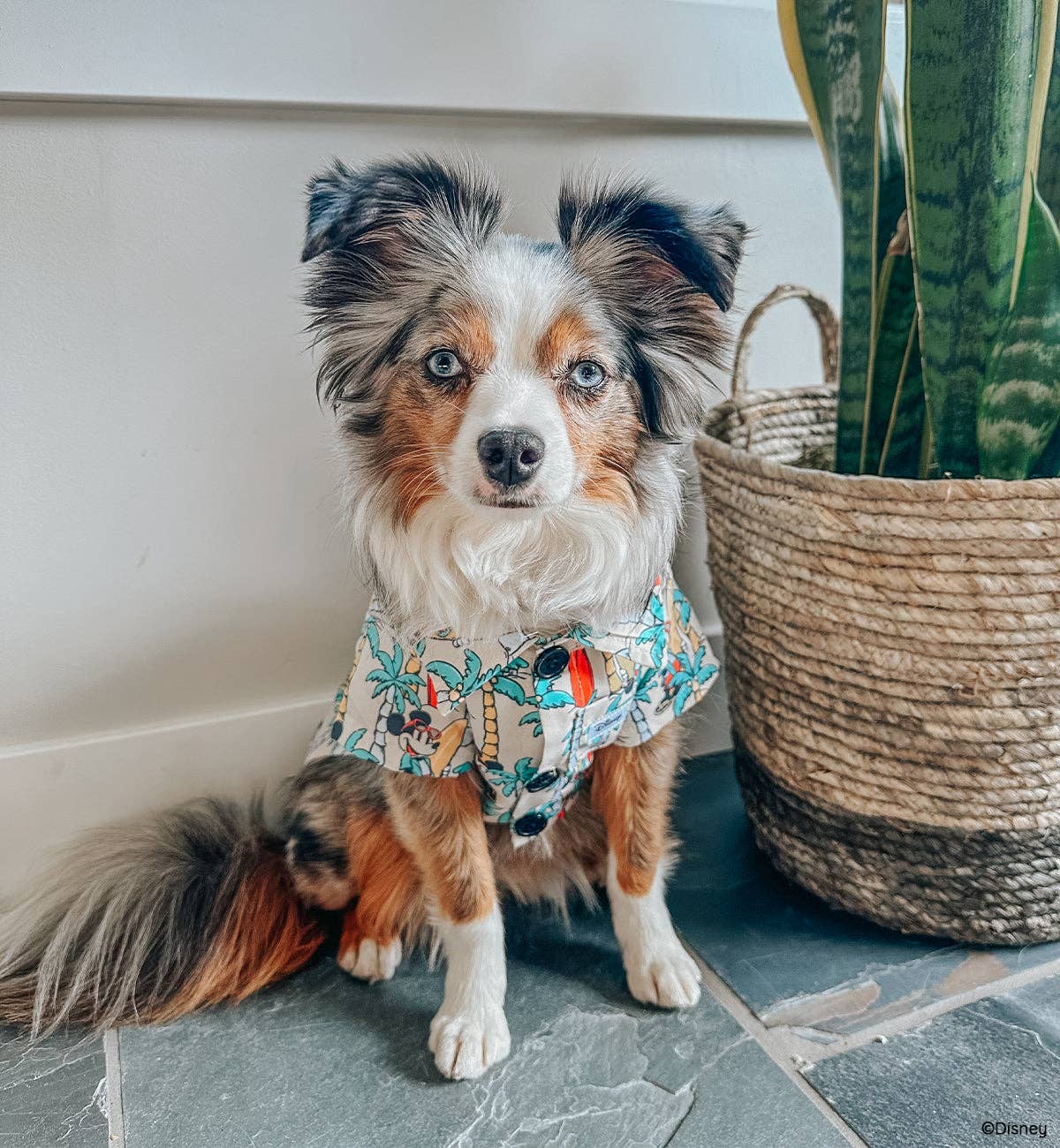 Mickey Mouse Dog Hawaiian Shirt