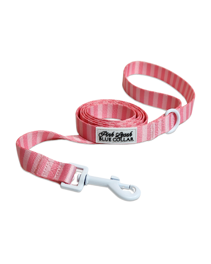 Pink on Pink Striped Leash