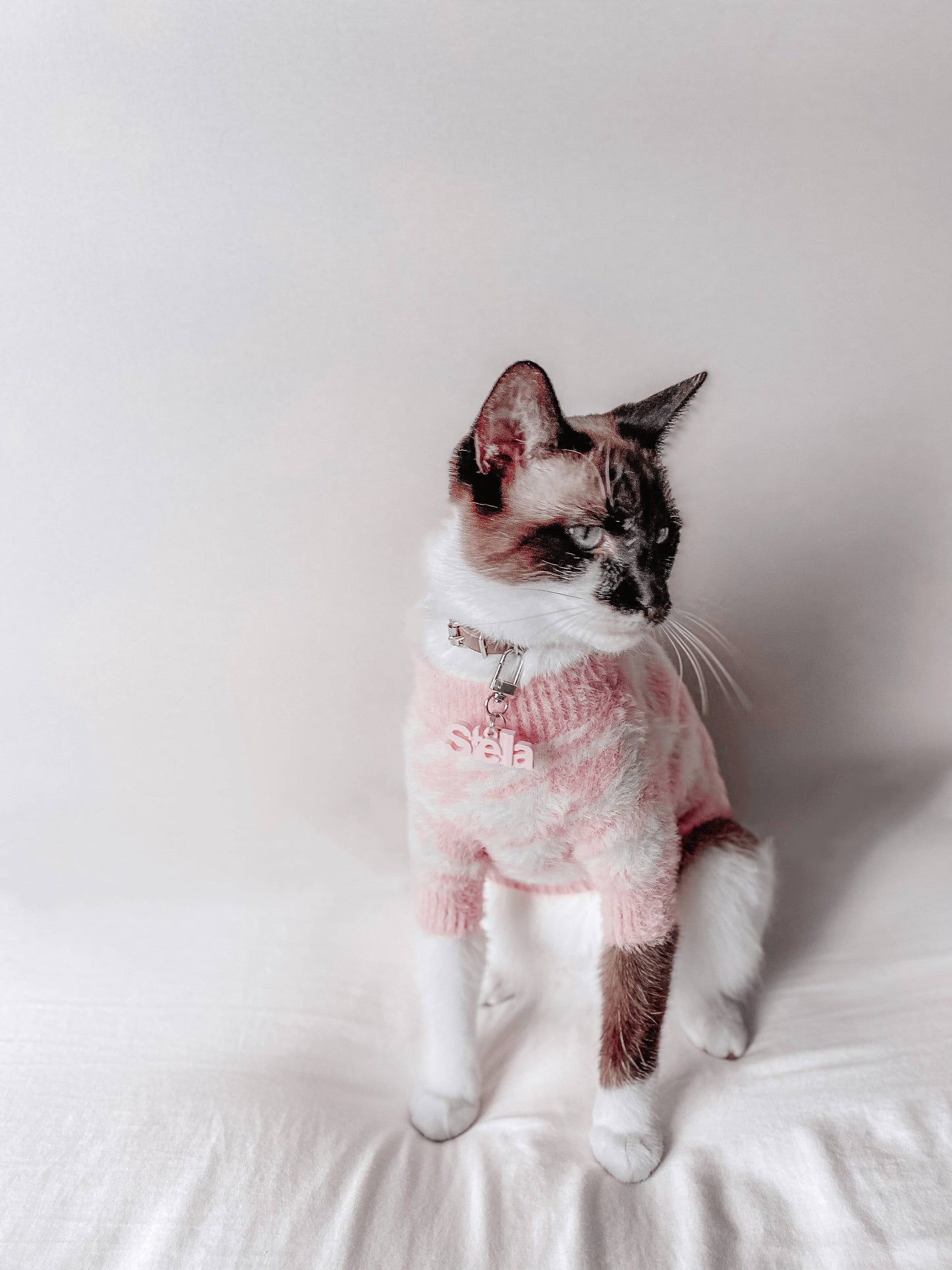 Jolie Soft Cloud Dog Sweater