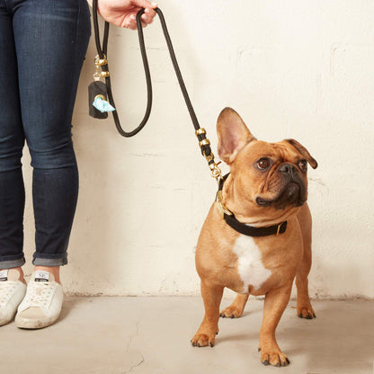 Correa para perros de cuerda marina Onyx