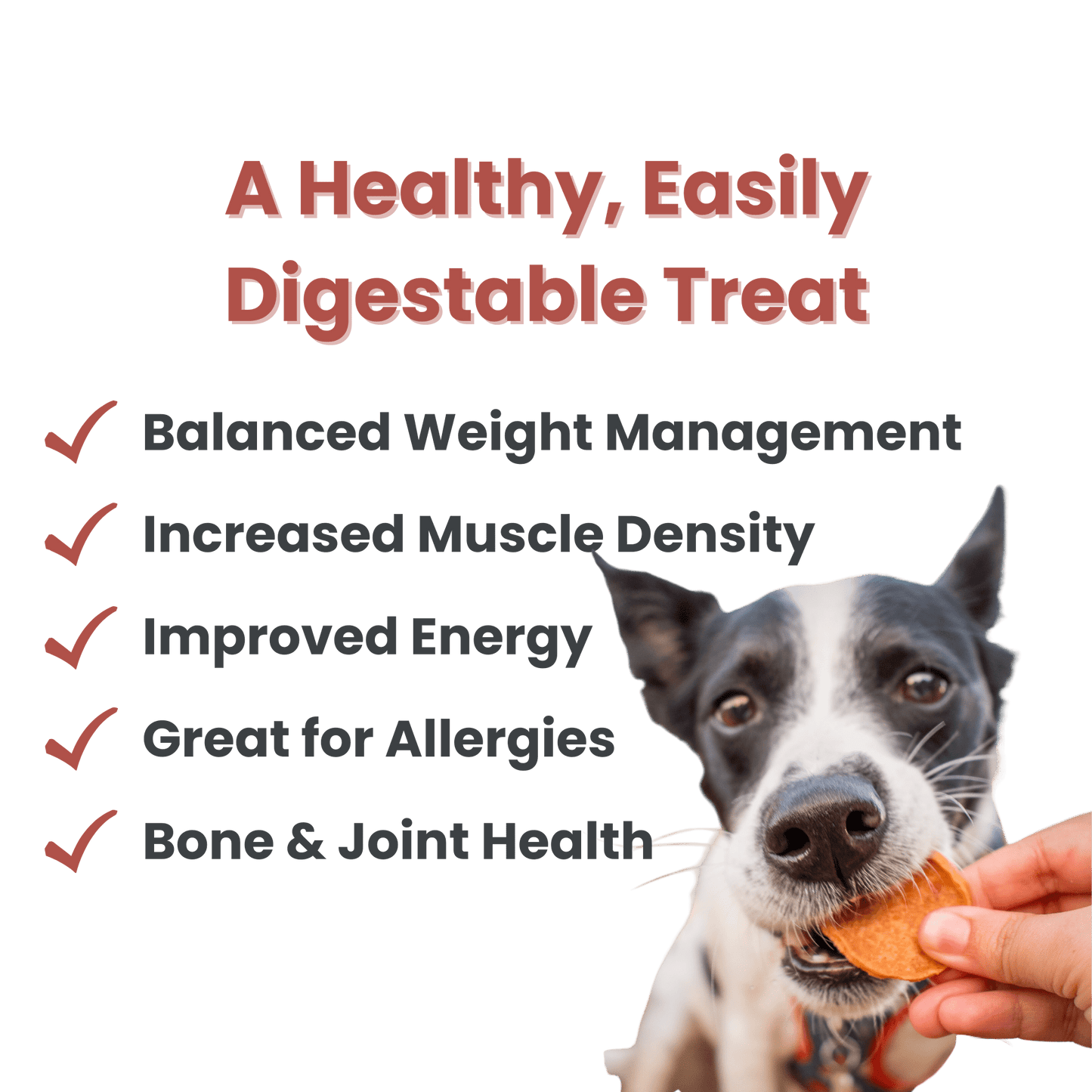 Patatas fritas de pavo de 4 oz