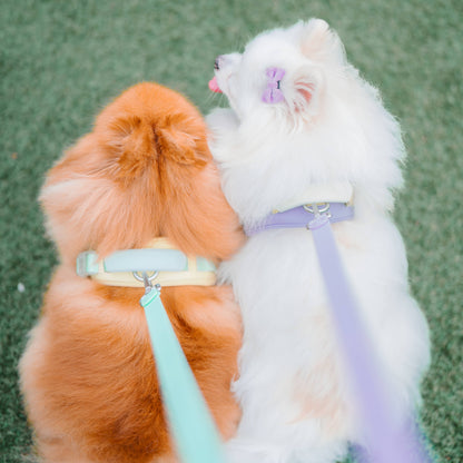 Jelly Dog Harness - Cream Soda