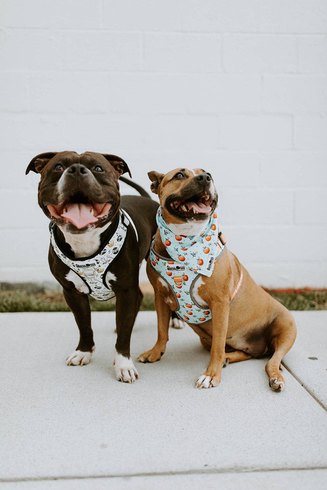 Bandana reversible Feeling Peachy