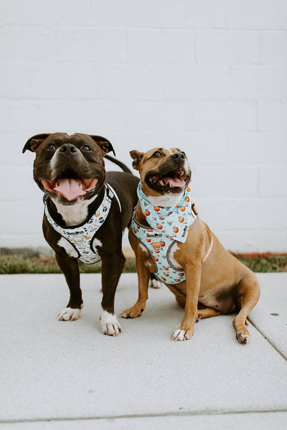 Bandana reversible Feeling Peachy