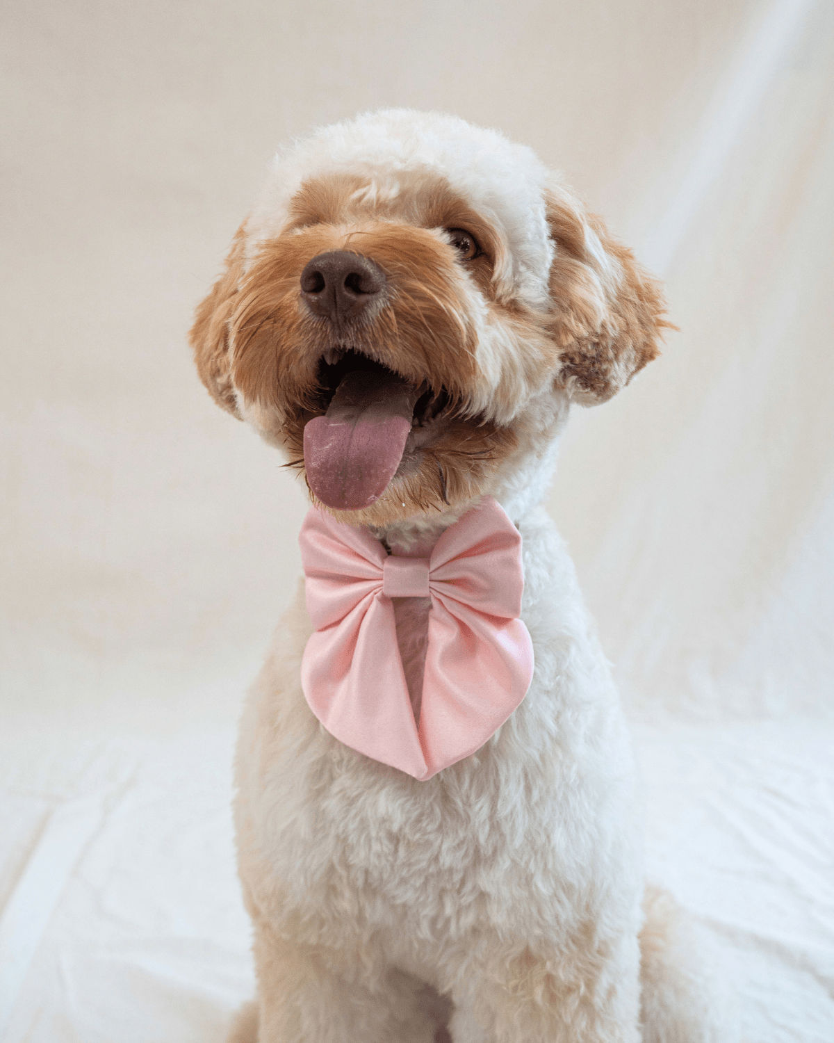 Wander! Blossom Pink Collar Sailor Bow
